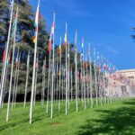 Multilateral regulering af AI - Del 1: National regulering i global kontekst, FN og OECD