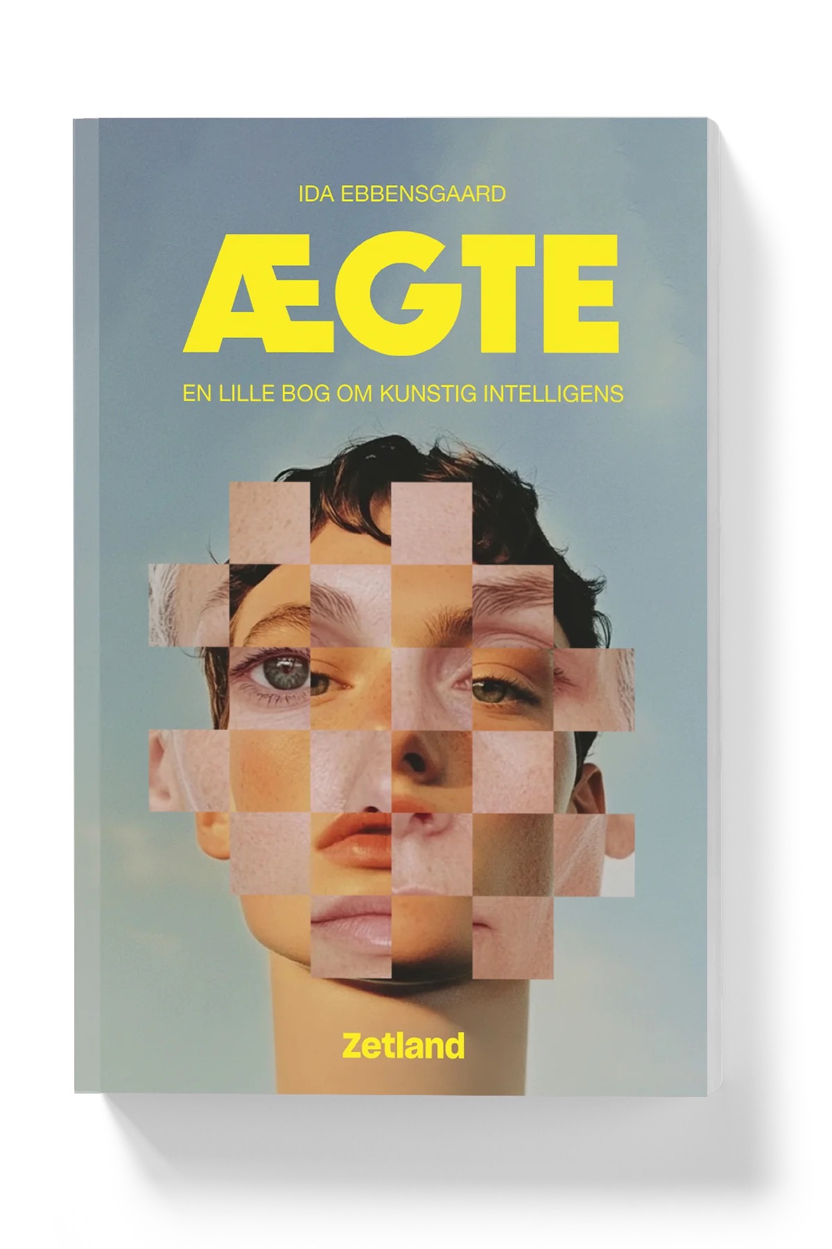 En ægte bog om kunstig intelligens